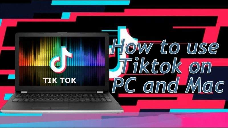 كيفية استخدام TikTok على الكمبيوتر | قل ودل تكنولوجيا